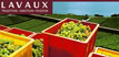 Lavaux Tourisme