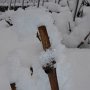 La vigne s'est endormie pour l'hiver