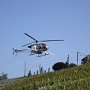 Le traitement de la vigne au printemps